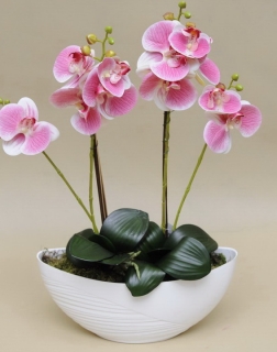 Orchidej v misce růžovo-bílá, 52cm