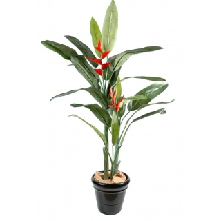 Heliconia palma - 2 květy, 180cm