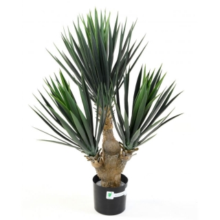 Yucca palma deluxe, 70cm