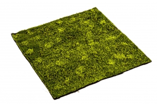 Umělá živá zelená stěna HYPNUM, 100 x 100cm