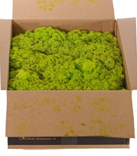 Stabilizovaný mech box 2,7kg - světle zelená