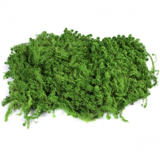 Stabilizovaný mech Sphagnum plochý 1,5 kg - zelený