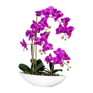 Orchidej fialová v květináči, 60cm
