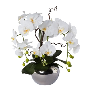 Orchidej bílá ve stříbrném květináči, 55cm