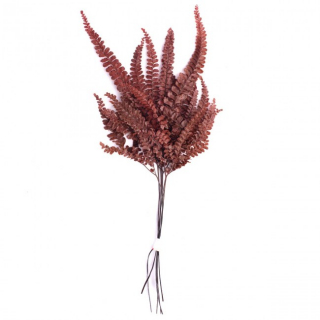 Stabilizovaná rostlina Felci Fern Red 15-25 cm