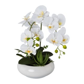 Orchidej bílá v misce, 43cm
