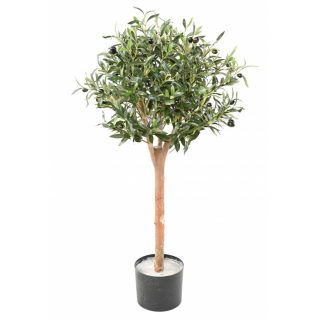 Olivovník přírodní kmen, 110cm