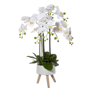 Orchidej bílá v květináči na nožičkách, 75cm