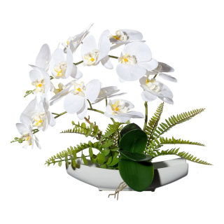 Orchidej bílá v misce, 40cm