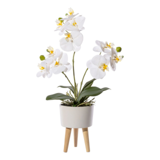 Orchidej bílá v květináči na nožičkách, 42cm