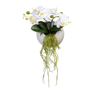 Orchidej bílá v květináči na zeď, 25cm