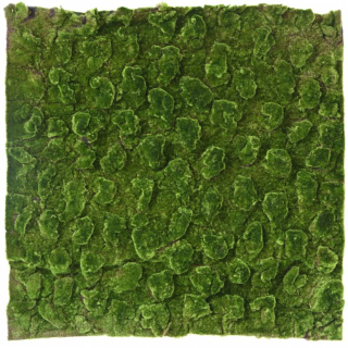 Umělá živá zelená stěna MECH EXCLUSIVE 100 x 100cm