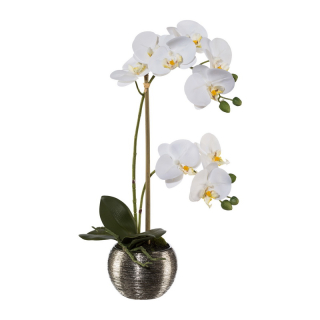 Orchidej bílá v květináči, 42cm