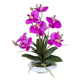 Orchidej fialová v misce, 41cm