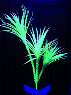 UV Yucca zelená, 90cm