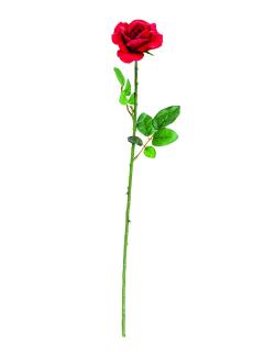 Růže, otevřený květ, červená, 65cm