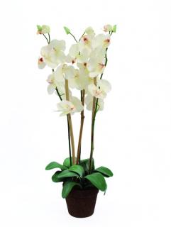 Orchidej s květináčem bílá, 80 cm
